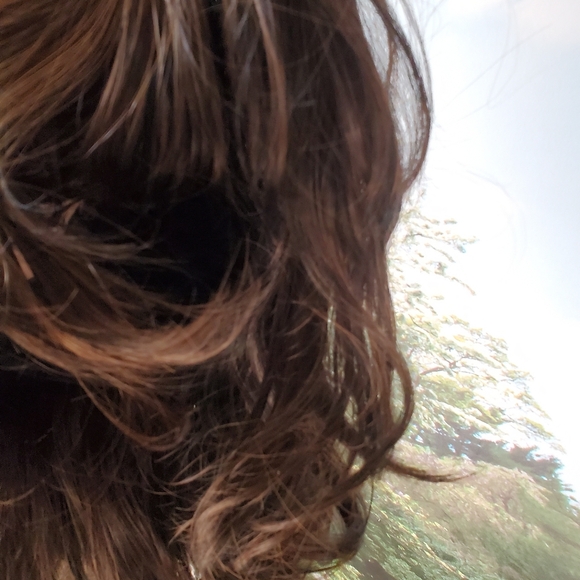 New Dark Brown With Highlights Synthetic Wig,med Length - Picture 3 of 15